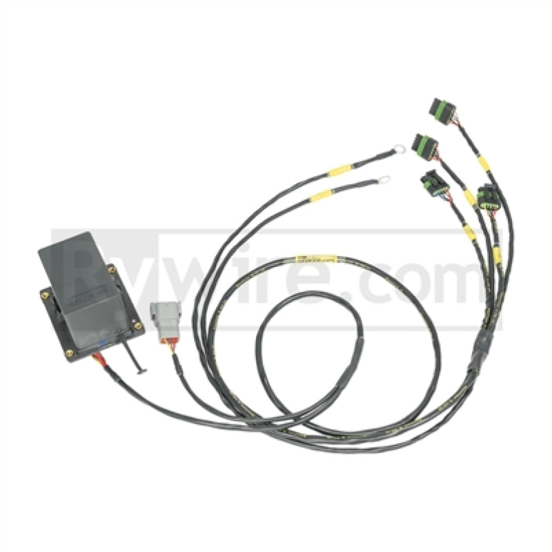 Rywire IGBT (AEM/IGN-1A) Coil Sub-Harness for 2 Rotor Engines - Mammoth Racing -
