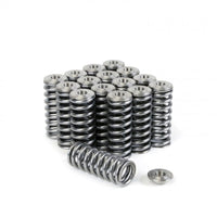 Skunk2 Alpha Series Honda/Acura D Series Valve Spring and Titanium Retainer Kit - Mammoth Racing -