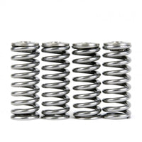 Skunk2 Alpha Series Honda/Acura D Series Valve Spring and Titanium Retainer Kit - Mammoth Racing -