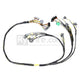 Rywire D & B-Series Mil-Spec Engine Harness w/Quick Disconnect/OBD1 Plugs (Adapter Req) - Mammoth Racing -