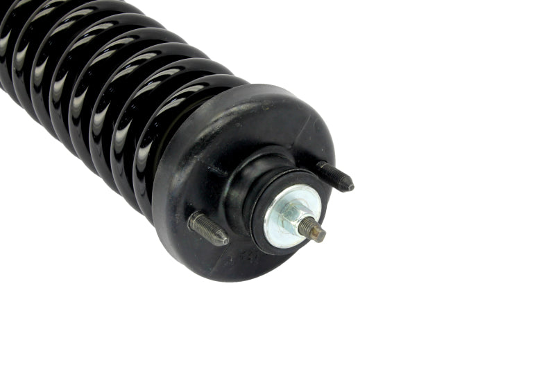 KYB Shocks & Struts Strut Plus Front Left Honda Civic 1996-00 - Mammoth Racing -