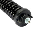 KYB Shocks & Struts Strut Plus Front Left Honda Civic 1996-00 - Mammoth Racing -