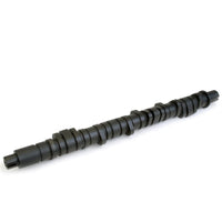 Skunk2 Tuner Series D-Series Honda Stage 2 Camshaft - Mammoth Racing -