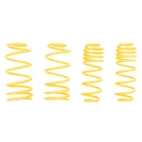 ST Sport-tech Lowering Springs VW Golf IV New Beetle Beetle Convertible - My Store