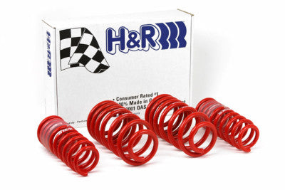 H&R Springs 29996-1 H&R Race Springs - My Store