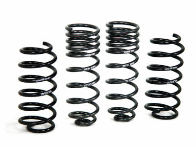 H&R Special Springs 29955 Sport Spring Kit - My Store