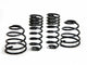 H&R Springs 29513-2 H&R Sport Springs - My Store