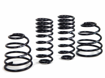 H&R Special Springs 29513 Sport Spring Kit - My Store