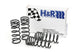 H&R Springs 29487-1 H&R Race Springs - My Store