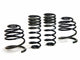 H&R Special Springs 29466 Sport Spring Kit - My Store