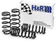 H&R Special Springs 29311 Sport Spring Kit - My Store