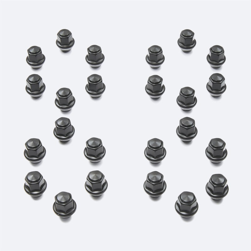 Ford Racing M12 x 1.5 Black Lug Nut - Set of 24 - Mammoth Racing -