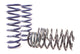 H&R Special Springs 28991-2 Super Sport Spring Kit - My Store