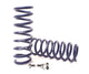 H&R Springs 28999-5 H&R Sport Springs - My Store