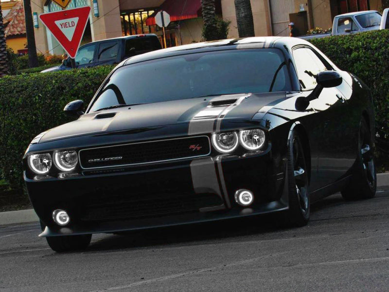 Oracle Dodge Challenger 08-14 LED Waterproof Halo Kit - White - Mammoth Racing -