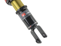 Skunk2 96-00 Honda Civic Pro-ST Coilovers (Front 10 kg/mm - Rear 10 kg/mm) - Mammoth Racing -