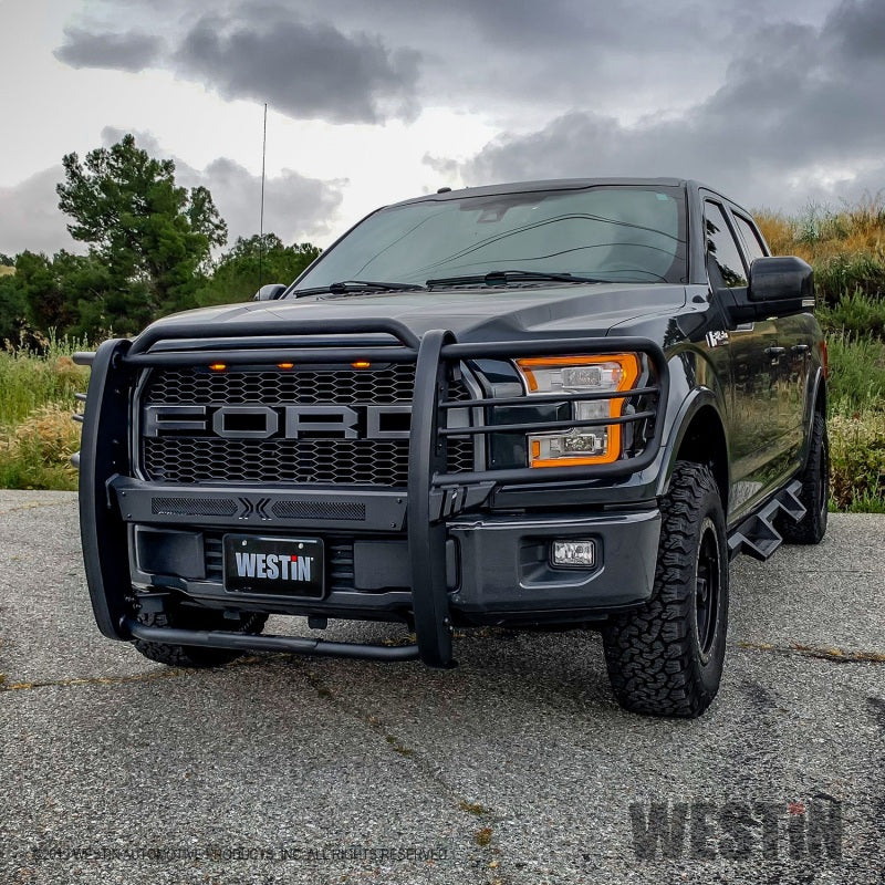 Westin 15-20 Ford F150 Sportsman X Grille Guard - Textured Black - Mammoth Racing -