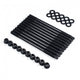 Skunk2 Honda / Acura B and K Series Head Studs - Fits B18 Vtec K20 K24 - Mammoth Racing -