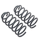 ST Muscle Car Springs Chevrolet Camaro / Pontiac Firebird - My Store