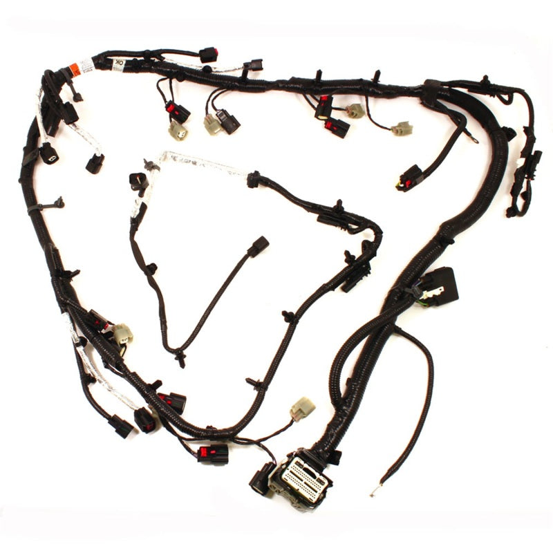 Ford Racing 5.0L Coyote Engine Harness - Mammoth Racing -