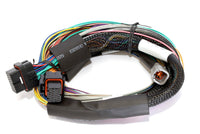 Haltech Elite 2500 Basic Universal Wire-In Harness ECU Kit - Mammoth Racing -