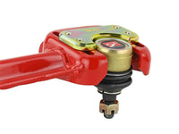 Skunk2 Pro Series 90-93 Acura Integra Adjustable Front Camber Kits (+/- 3.3 Degrees) - Mammoth Racing -
