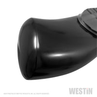 Westin 2019 Chevrolet Silverado/Sierra 1500 CC (5.5ft) PRO TRAXX 5 WTW Oval Nerf Step Bars - Black - Mammoth Racing -