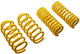 ST Sport-tech Lowering Springs 15-17 VW Golf VII GTI 2.0t - My Store