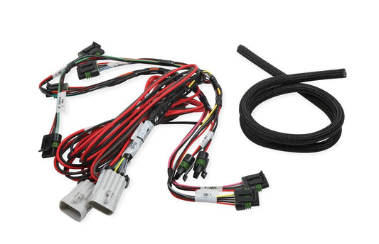 Holley EFI 558-318 Coil-Near-Plug Ignition Sub Harness Big Wire Pre Wired w/12 ga. Power and Grounds Coil-Near-Plug Ignition Sub Harness - My Store