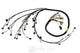 Rywire 02-04 K-Series RWD Mil-Spec Eng Harn w/02-04 Wiring/K-Pro/S2K Tran/K-Ser TB/Int (Adapter Req) - Mammoth Racing -