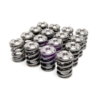 Skunk2 Alpha Series Honda/Acura K Series Valve Spring and Titanium Retainer Kit - Mammoth Racing -