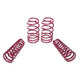 Vogtland 953035 Lowering Springs - My Store