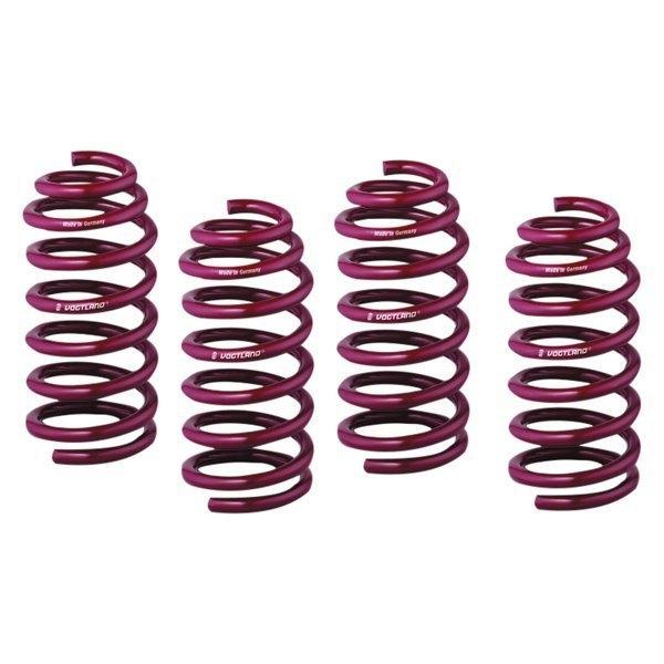 Vogtland 950532 Lowering Springs - My Store