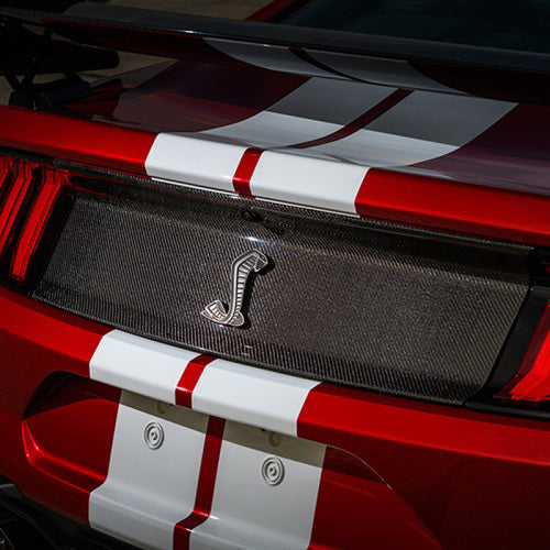 Ford Racing 20-21 Mustang GT500 Deck Lid Trim Panel - My Store