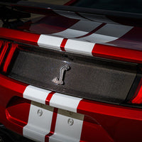 Ford Racing 20-21 Mustang GT500 Deck Lid Trim Panel - My Store