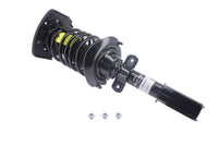 KYB Shocks & Struts Strut Plus Rear Left BUICK Century 1997-05 BUICK Regal 1997-04 CHEVROLET Impala - Mammoth Racing -