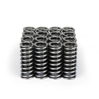 Skunk2 Alpha Series Honda D Series Vtec Valve Spring Set - Mammoth Racing -