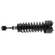 KYB Strut Plus Front Truck-Plus Leveling Assembly Ford F-150 (4WD) 04-08 - Mammoth Racing -