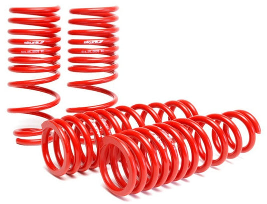 Skunk2 92-95 Honda Civic/Del Sol Lowering Springs (2.50in - 2.25in.) (Set of 4) - Mammoth Racing -