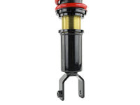 Skunk2 88-91 Honda Civic/CRX Pro-ST Coilovers (Front 10 kg/mm - Rear 8 kg/mm) - Mammoth Racing -