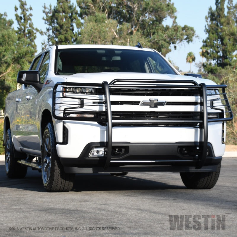 Westin 2019 Chevrolet Silverado 1500 Sportsman Grille Guard - Black - Mammoth Racing -