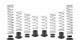 PRO-UTV - Stage 3 Performance Spring System (Set of 8 Springs) POLARIS RZR E85-209-023-03-22 - Mammoth Racing -