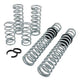 Eibach Pro-UTV 17-19 Polaris RZR XP1000 2-Seat EPS Stage 3 Performance Springs - Mammoth Racing -