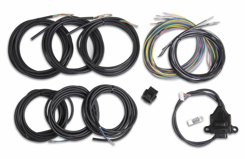 Holley EFI 558-433 Digital Dash I/O Adapter w/Unterminated Vehicle Harness - My Store