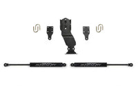 Fabtech 01-10 GM 2500hd/3500hd 2wd/4wd Dual Performance Steering Stabilizer - Mammoth Racing -
