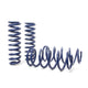 H&R 09-21 Toyota 4 Runner (2wd/4wd) Adventure Raising Spring (Non TRD Pro) - Mammoth Racing -