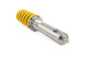 Ohlins 16-21 Porsche Cayman GT4 (981) Ttx-pro Coilover System - Mammoth Racing -