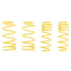 ST Muscle Car Springs Chevrolet Malibu Monte Carlo / Buick Skylark Regal / Oldsmobile Lemans Apollo - My Store