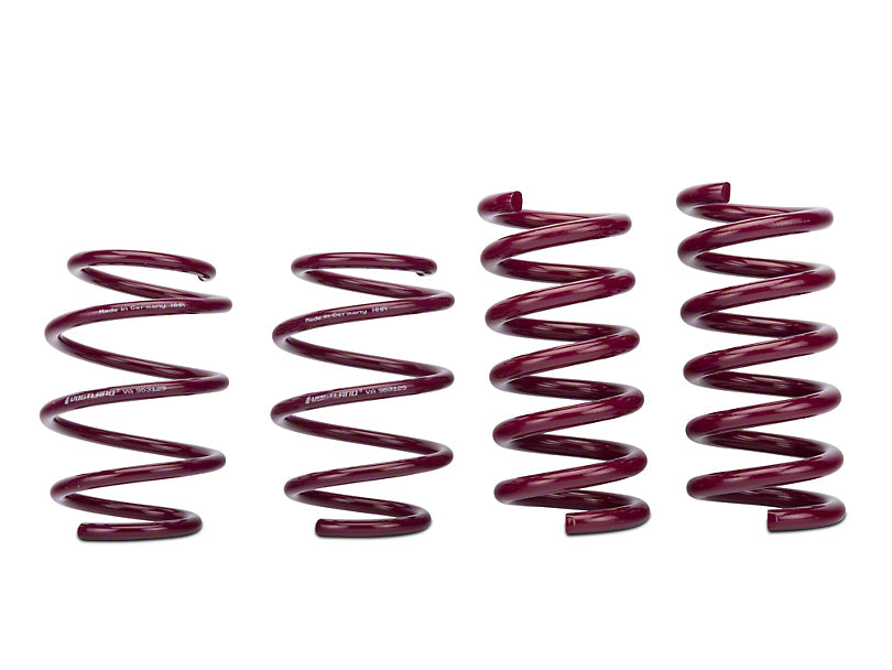 VOGTLAND 953129 Lowering Spring - My Store