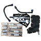 Ford Racing 2020 Coyote 5.2L Right Hand Side Oil-Air Seperator - My Store